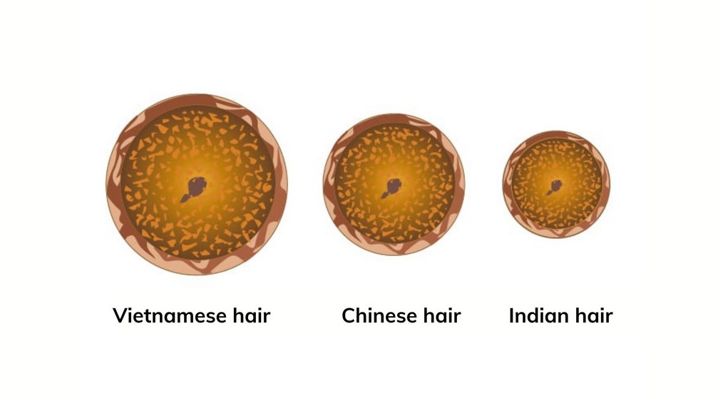 Thickness of hair types